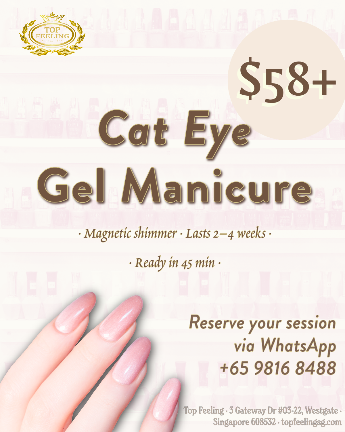 $58 Cat Eye Gel Manicure